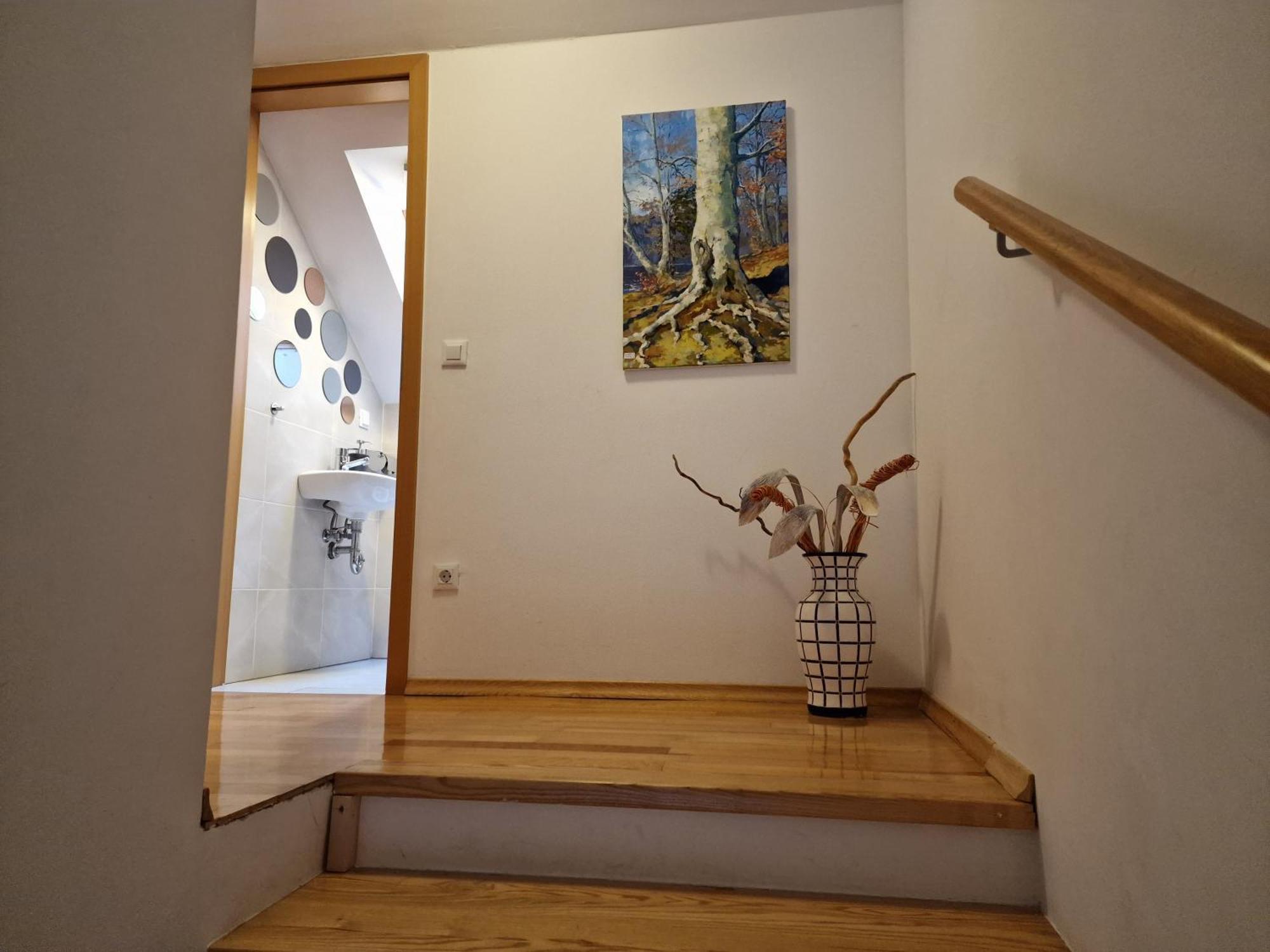 בוהין 7 Lakes Apartment מראה חיצוני תמונה